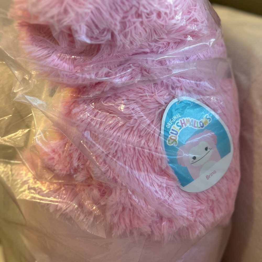 XL Brina the Bigfoot Sealed Squishmallows - Picture 3 of 7